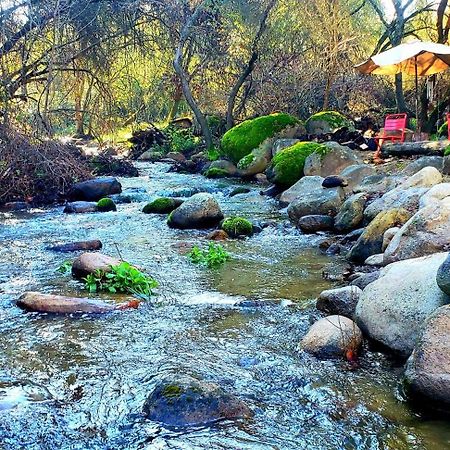 Magical River House ! 10 Min To Snp Park Entrance Three Rivers Bagian luar foto
