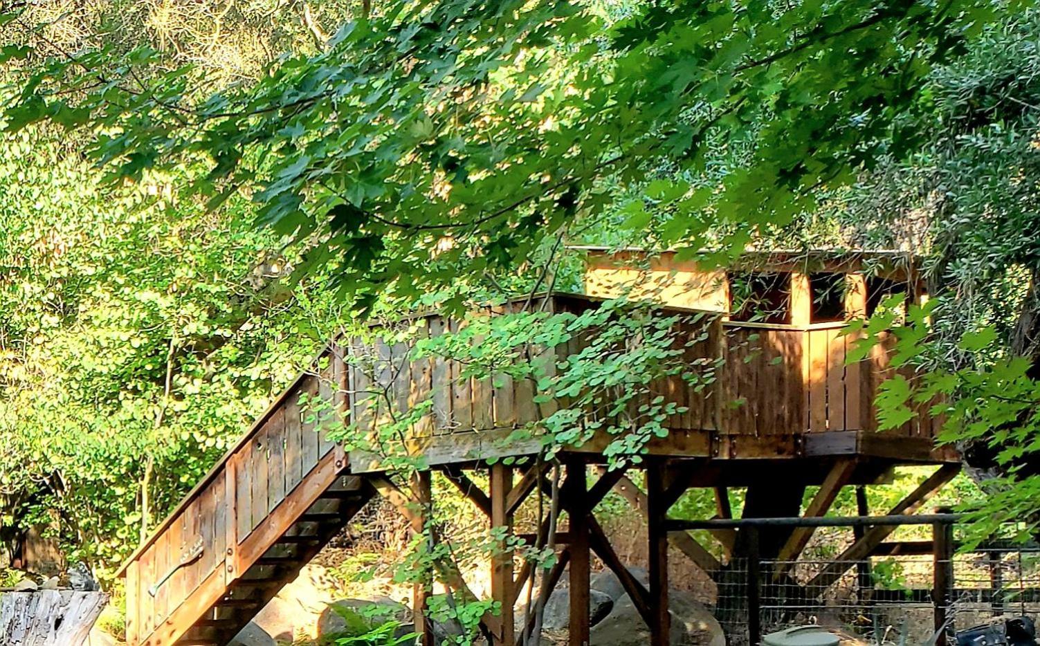 Magical River House ! 10 Min To Snp Park Entrance Three Rivers Bagian luar foto